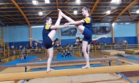 Ginastica artística