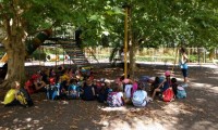 Estudos do 2º ano à sombra do plátano
