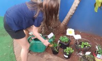 24.08.2021 - 4º ano cultivando sua horta