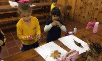 Corpo Humano no foco do estudo do 1º ano