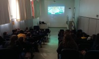 7º ano - A elefanta do Mágico