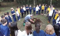 Campo do CEAP ganha macieira e erva-mate 