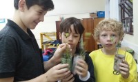 Experiência com germinadores no 4º ano