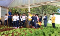 Estudo sobre hortas leva alunos ao IMEAB
