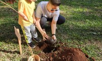 CEAPzinho - Curiosa Natureza 2025