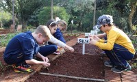 A horta dos alunos