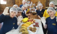 Alimentação e Digestão na pauta do 4º ano