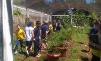 Conhecendo as atividades do campo