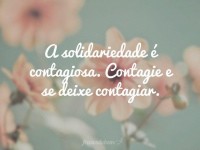 Campanha 