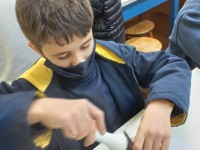 4º ano do EF - Extração de pigmentos vegetais