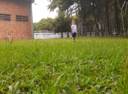 162097777067533.jpeg