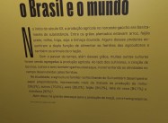 163961529331588.jpeg