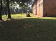 168552673939201.JPG
