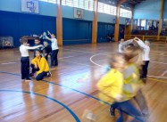 187126385668913.jpg