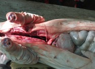 187708790591696.jpg