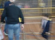 222107494456900.jpeg