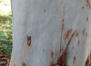 266078122788005.jpg