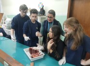 318501447880335.jpeg