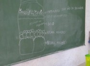 341769112894932.jpg