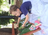 362989125812367.jpg