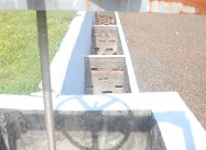 384612010584937.jpg