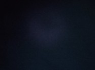 456203421266574.jpg