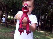 457241383277707.jpeg