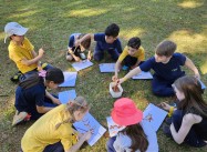 532210936163612.jpg