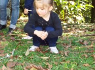 538537065602011.JPG