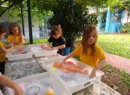 548143287426444.jpg