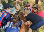 555109560551094.jpg