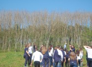 581607715537150.jpg