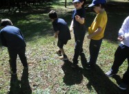 583967939433124.JPG