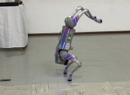 589932953635214.JPG