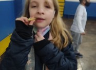 633383499175622.jpeg