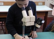 740184006177716.jpg