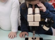 751057551966773.jpg