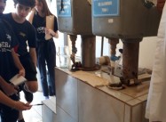 765548998224998.jpeg