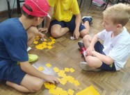 852147138445332.jpg