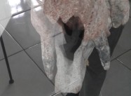 871370977825588.jpg