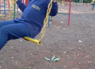 934463232957503.jpeg