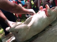 942207282144475.jpeg