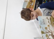 946017200337212.jpg