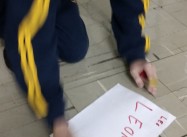 950312813123067.jpg
