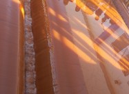 995911818326184.jpg